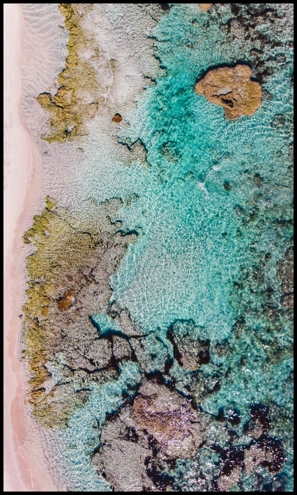 Kalbarri Dog Towel