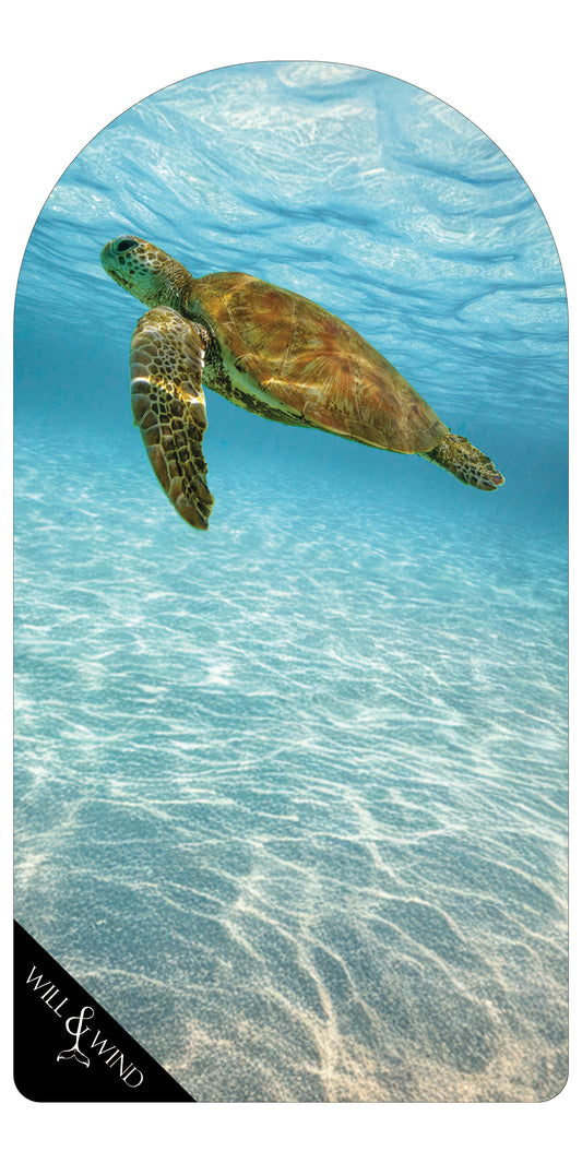 Green Sea Turtle Car Seat Towel