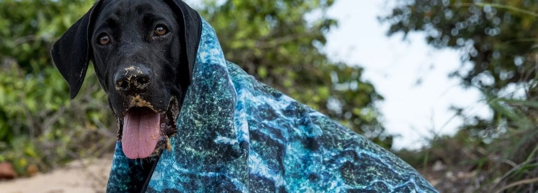 40 Uses For Your Will & Wind Towels