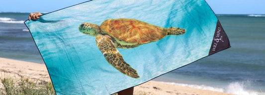 Why Will and Wind Towels Are Different and What Makes Them a Best Sustainable Travel Towel