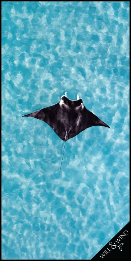 Manta Ray Travel Towel