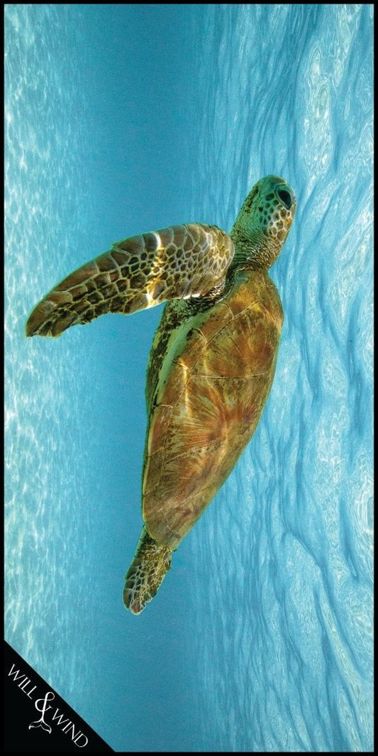 Green Sea Turtle Travel Towel