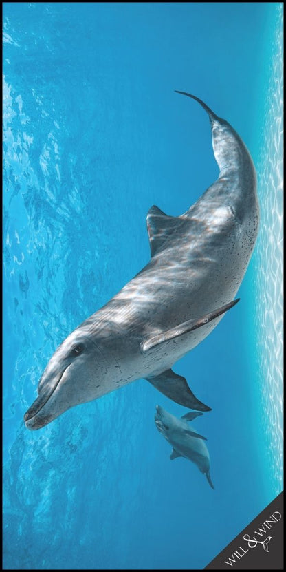 Bottlenose Dolphin and Calf Travel Towel
