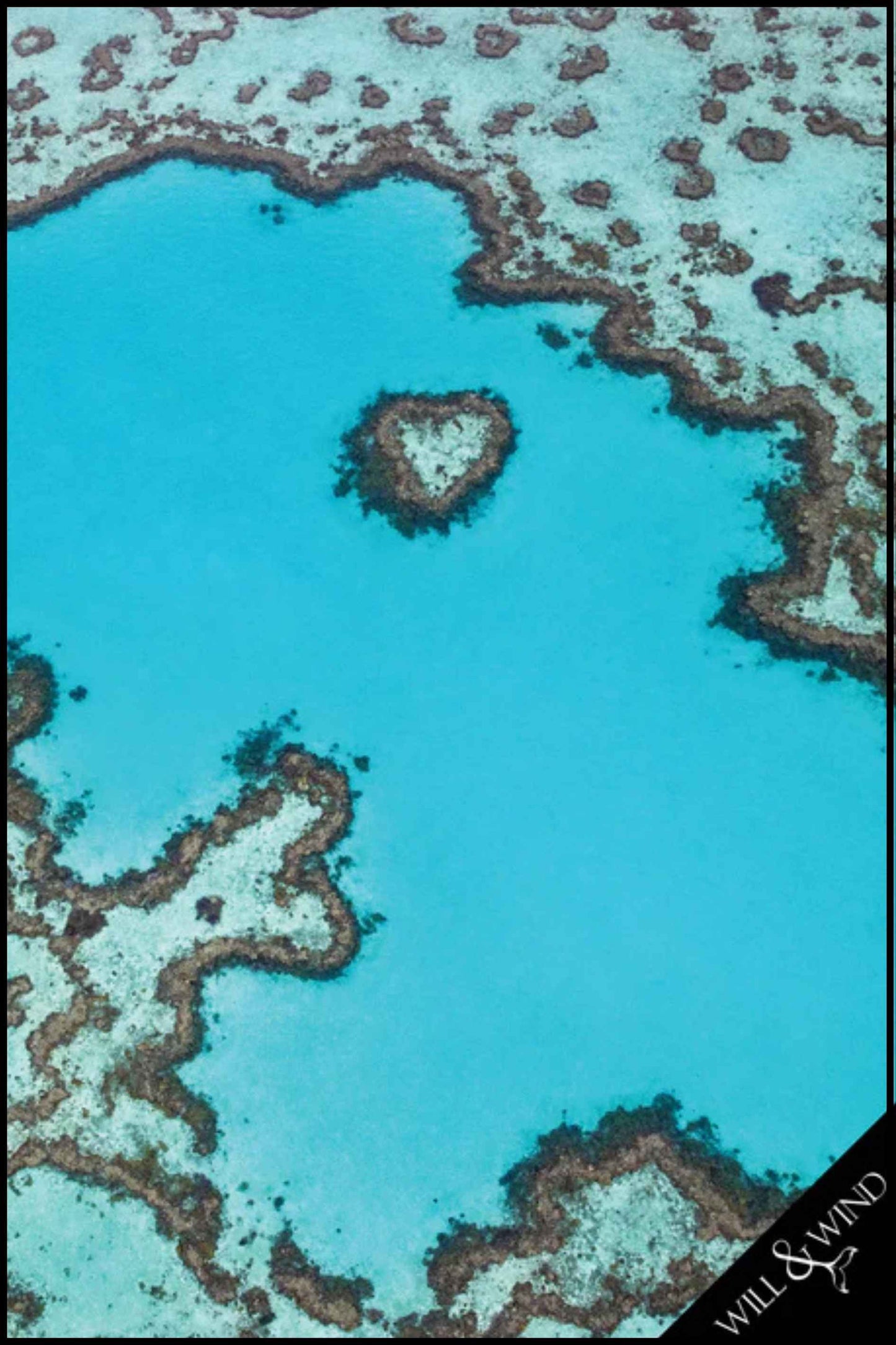 Heart Reef Tea Towel design