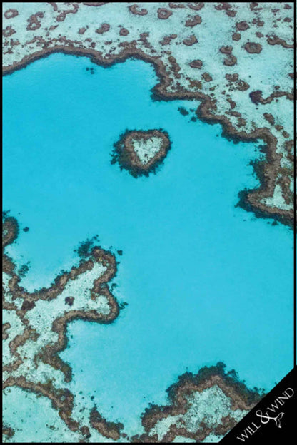 Heart Reef Tea Towel design