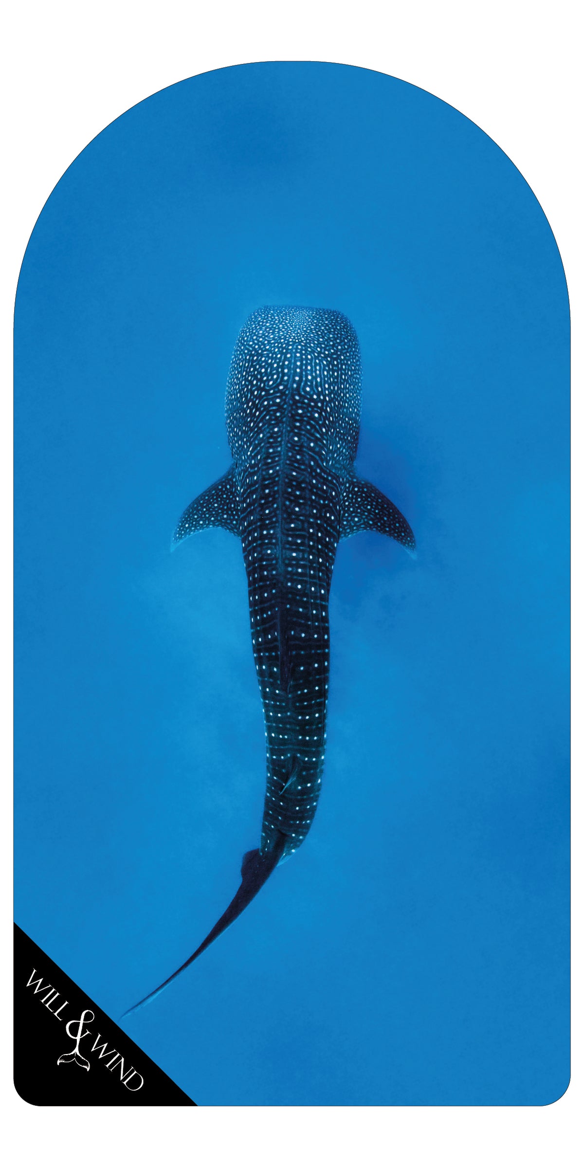 Whale Shark Seat Towel front design