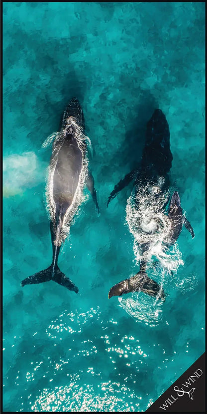 Humpback Whales Travel Towel