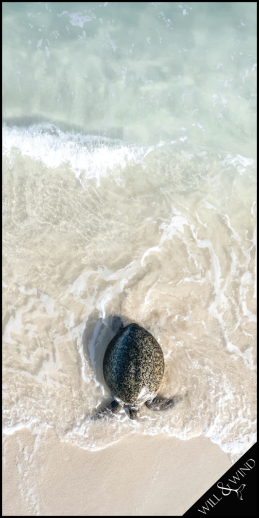 Turtle on Beach Travel Towel